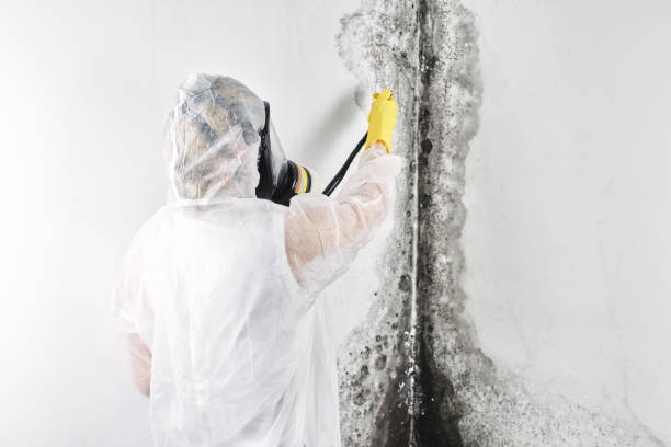 Best Residential water damage restoration  in Liberty, MO